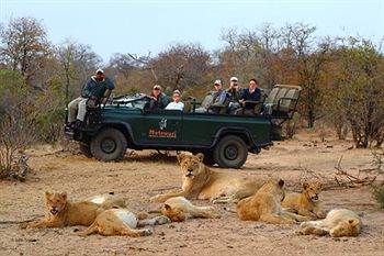 Motswari Private Game Reserve - Timbavati محمية كلاسيري الطبيعية الخاصة المظهر الخارجي الصورة