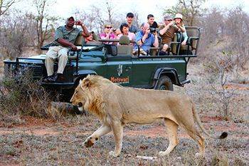 Motswari Private Game Reserve - Timbavati محمية كلاسيري الطبيعية الخاصة المظهر الخارجي الصورة